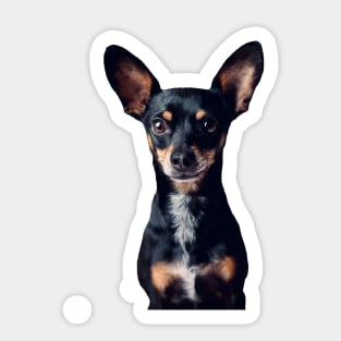 Mini Pinscher Sticker